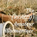 Logo of the podcast The (REALLY) Amateur Allotment Podcast The (REALLY) Amateur Allotment
