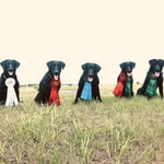 Podcast The Retriever Podcast - Wade Cashion 