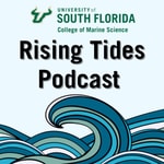 Logo of the podcast The Rising Tides Podcast