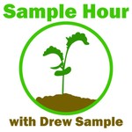 Logo of the podcast The Sample Hour Missing podcast logo