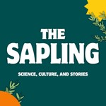 Logo of the podcast The Sapling Podcast The Sapling