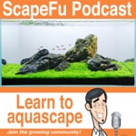 Podcast The ScapeFu Podcast