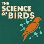 Logo of the podcast The Science of Birds Podcast The Science of Birds