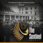 Logo of the podcast The Sentinel Podcast The Sentinel