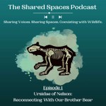 Logo of the podcast The Shared Spaces Podcast Podcast The Shared Spaces Podcast