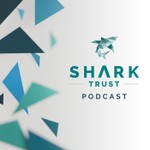 The Shark Trust Podcast | Shark Science and Conservation Podcast The Shark Trust Podcast | Shark Science and Conservation