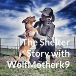 Logo of the podcast The Shelter Story with WolfMotherk9 Podcast The Shelter Story with WolfMotherk9
