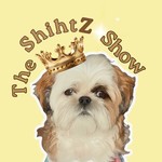Podcast The ShihtZ Show