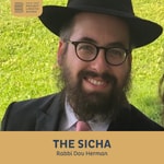 Logo of the podcast The Sicha Rabbi Dov Herman Podcast The Sicha Rabbi Dov Herman