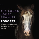 Podcast The Sound Horse Channel