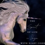 Logo of the podcast The Spirit of Life in Ibiza Missing podcast logo