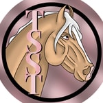 Logo of the podcast The Star Stable Times. Podcast The Star Stable Times.