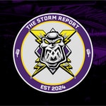Logo of the podcast The Storm Report