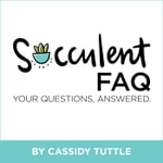 Logo of the podcast The Succulent FAQ Podcast The Succulent FAQ