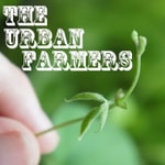 Logo of the podcast The Urban Farmers Audio Diary Podcast The Urban Farmers Audio Diary