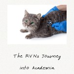 Logo of the podcast The Veterinary Nurse Journey into Academia Podcast The Veterinary Nurse Journey into Academia