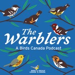 The Warblers by Birds Canada Podcast The Warblers by Birds Canada