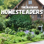 The Wayward Homesteaders