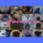 Logo of the podcast The Wet Nose Report- A Podcast for Pet Owners Podcast The Wet Nose Report- A Podcast for Pet Owners