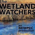 Logo of the podcast The Wetland Watchers Podcast The Wetland Watchers