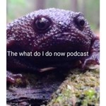Podcast The what do I do now podcast.