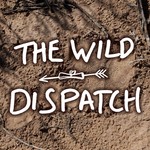 The Wild Dispatch Podcast The Wild Dispatch