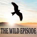The Wild Episode Podcast The Wild Episode