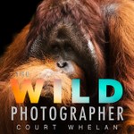 The Wild Photographer Podcast The Wild Photographer