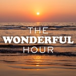 Logo of the podcast The Wonderful Hour Podcast The Wonderful Hour
