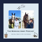 Logo of the podcast The Working Ammy Podcast Podcast The Working Ammy Podcast