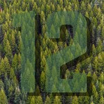 Logo of the podcast The World's Only Seahawks Podcast Podcast The World's Only Seahawks Podcast
