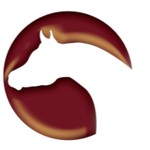 Logo of the podcast TheArabianMagazine.Com Podcast TheArabianMagazine.Com
