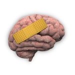Logo of the podcast Therapiegespräche Podcast Therapiegespräche