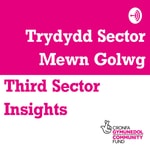 Logo of the podcast Third Sector Insights / Trydydd Sector Mewn Golwg Podcast Third Sector Insights / Trydydd Sector Mewn Golwg