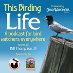 Logo of the podcast This Birding Life (Enhanced) Podcast This Birding Life (Enhanced)