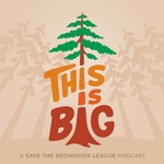Podcast This is Big