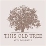 Logo of the podcast This Old Tree Podcast This Old Tree