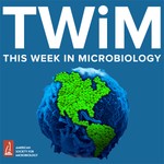 Logo of the podcast This Week in Microbiology Podcast This Week in Microbiology