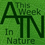 Logo of the podcast This Week in Nature Podcast This Week in Nature