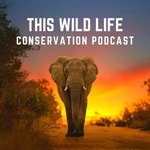 Logo of the podcast This Wild Life Conservation Podcast Missing podcast logo