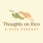 Thoughts on Rice Podcast Thoughts on Rice