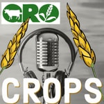 Podcast Thursday Night Crop Talks