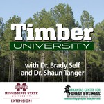 Timber University Podcast Timber University