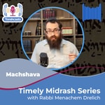 Timely Midrash: Wisdom for Today Timely Midrash: Wisdom for Today