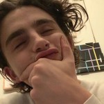 Logo of the podcast timothée chalamet the love of my life Podcast timothée chalamet the love of my life
