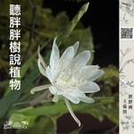 Logo of the podcast 聽胖胖樹說植物 Podcast 聽胖胖樹說植物
