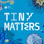 Tiny Matters Podcast Tiny Matters