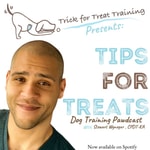 Podcast Tips for Treats: The Dog Training Pawdcast