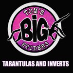 Logo of the podcast Tom's Big Spiders - Tarantulas and Inverts Podcast Tom's Big Spiders - Tarantulas and Inverts