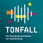 Logo of the podcast TonFall Podcast TonFall